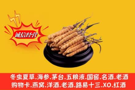 枣庄市滕州求购回收虫草多少钱每克